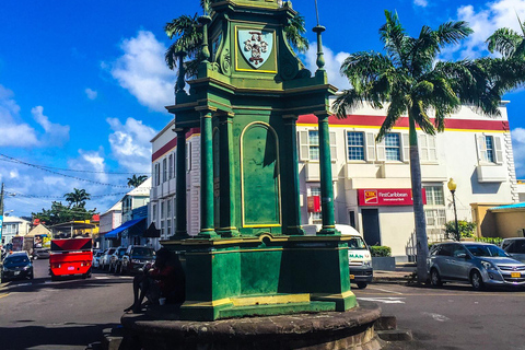 St. Kitts: Private Island Highlights Shore Excursion