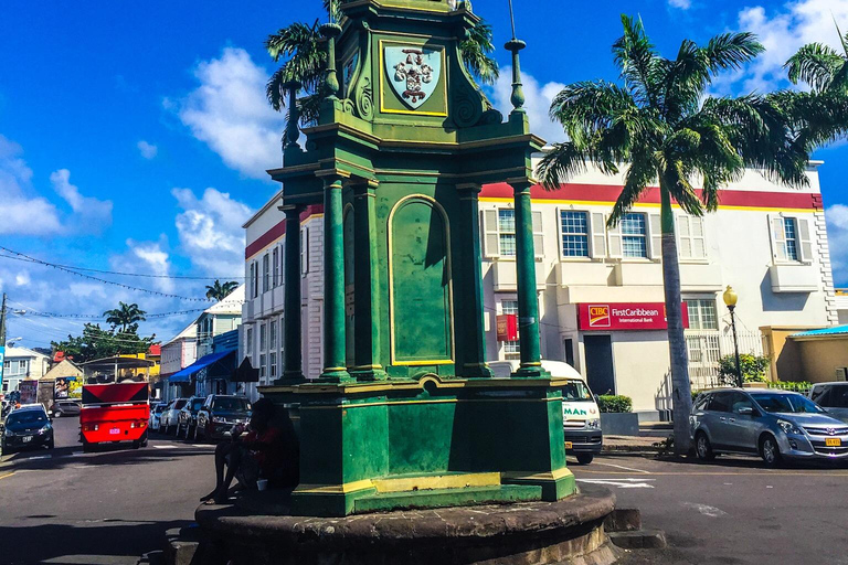 St. Kitts: Private Island Highlights Shore Excursion