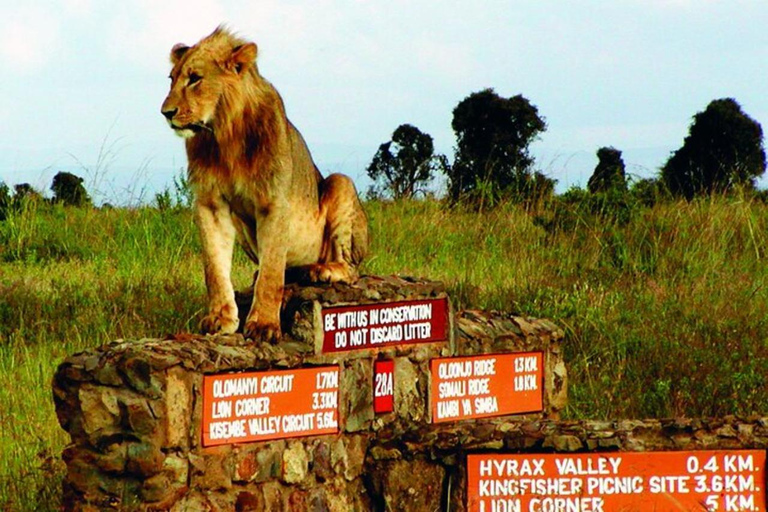 Nairobi: National Park, Elephant Orphanage & Giraffe Center
