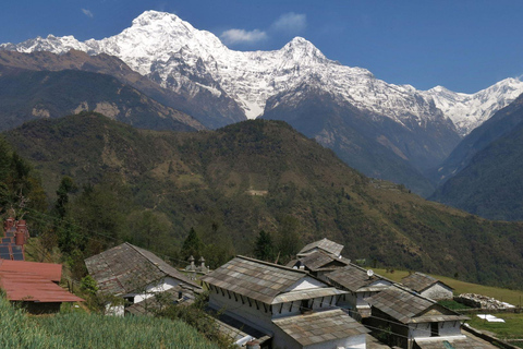 Pokhara: Dhaulagiri-Annapurna Community Trek 9-Day Tour