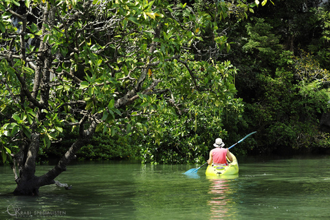 Ko Lanta : Visite d'une demi-journée en kayak dans la mangrove avec déjeuner