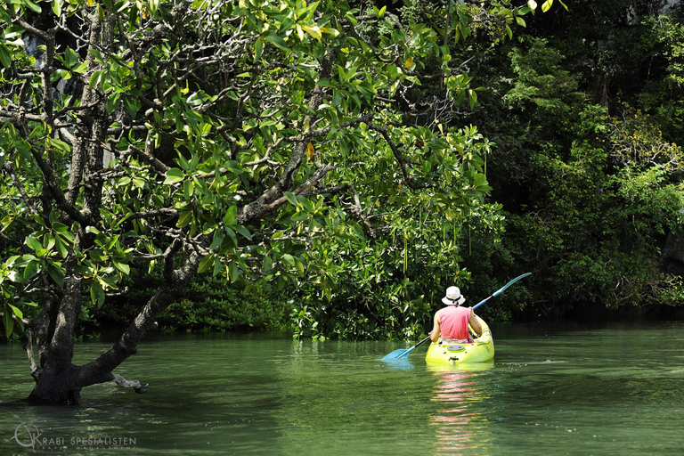 Ko Lanta: Tour di mezza giornata in kayak con mangrovie e pranzo