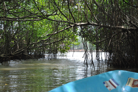 Bentota: River Safari with Hotel Pickup and Drop-off