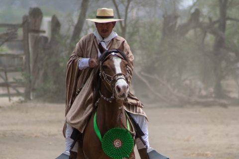 Peru: 4 godziny jazdy konnej i starożytne piramidyPeru, jazda konna w Chiclayo i starożytne piramidy Inków