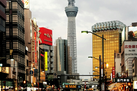 Tokio privétour per auto met Engelssprekende chauffeur