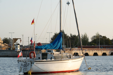 zeiltocht langs de kust van Chili