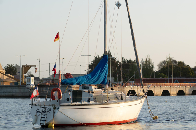 segelbåtstur längs chiles kustlinje