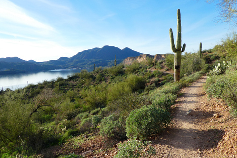 Mesa: Saguaro Lake View Hike