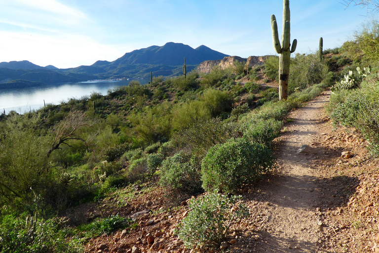 Mesa: Saguaro Lake View Hike