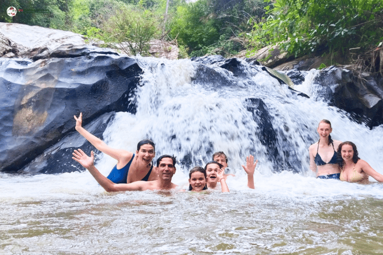 Chiang Mai: Elephant Sanctuary & Watch Sunrise at Temple