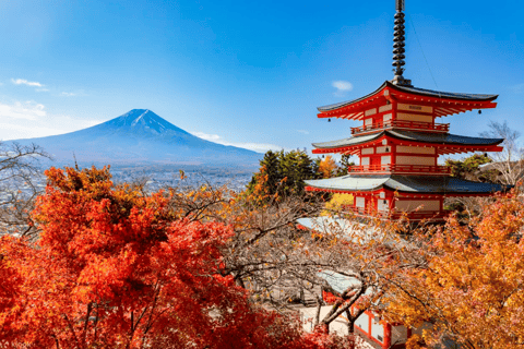 Mt. Fuji,Kawaguchi Lake, Ropeway, Oshino Hakkai, Matcha Trip Tokyo station pick-up 8:00am