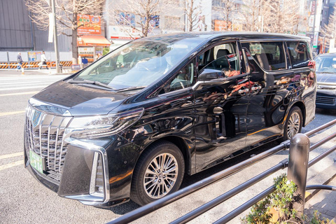 Tokyo: 1-dagars höjdpunkter med privat bil och guide