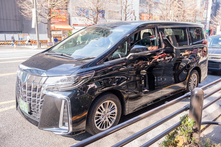 Tokyo: 1-dagars höjdpunkter med privat bil och guide