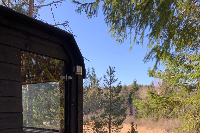 Lake Langen Sauna Experience