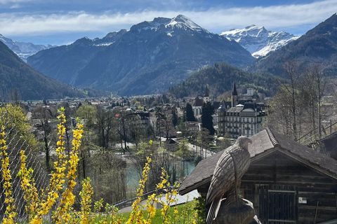 Interlaken: Caminhada guiada até Harder Kulm com um triatleta suíço