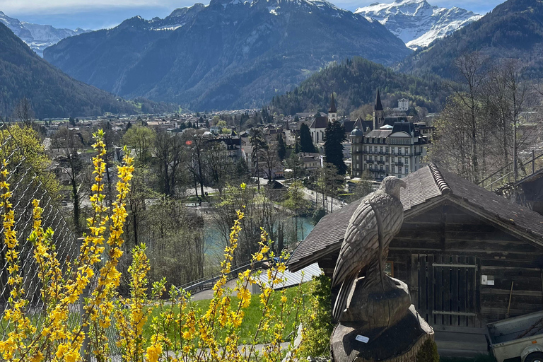 Interlaken: Guided Hike to Harder Kulm with Swiss Triathlete