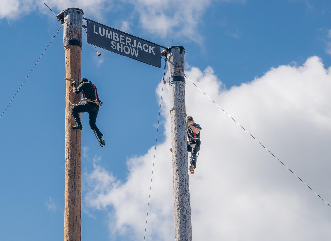 Adgangsbillet til Grouse Mountain Skyride