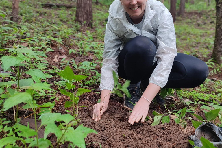 Chiang Mai: Spotkanie z dzikim gibonem u rodziny goszczącej KarenChiang Mai: 2-dniowe spotkanie z gibonami z Karen Homestay