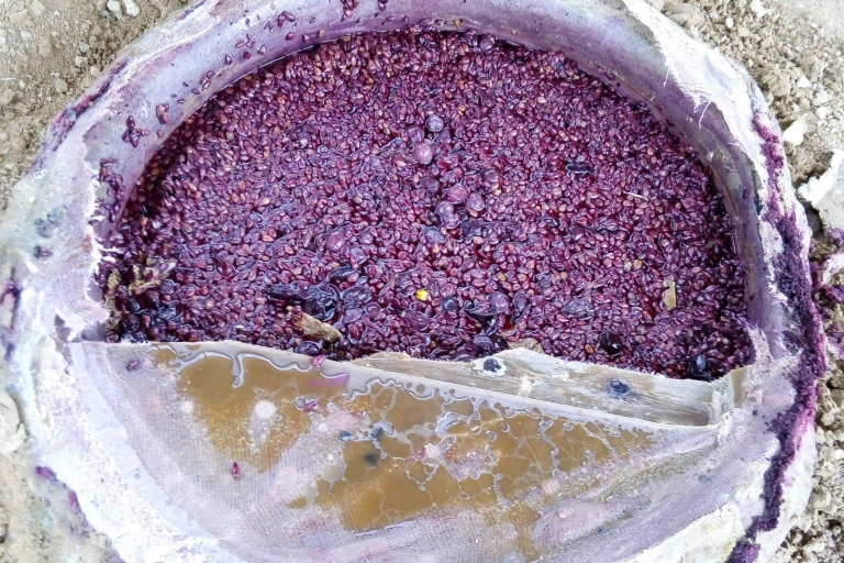 Wine Tasting an Areni Armenia: A Symphony of Tastes