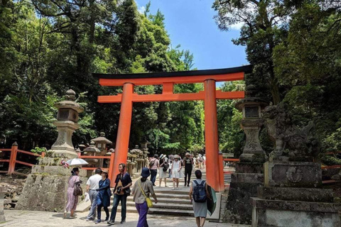 奈良公园：隐秘小径与鹿群导览之旅（含接送服务）