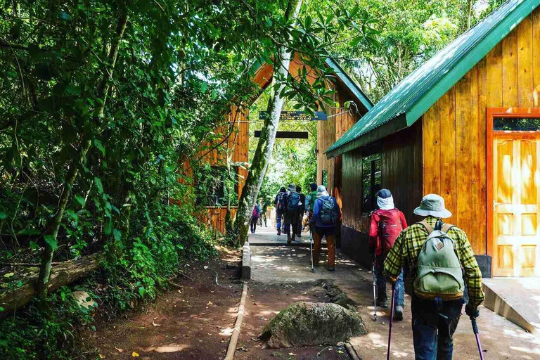 Moshi:Excursión de un día al Monte Kilimanjaro con la excursión a la cabaña de Mandara