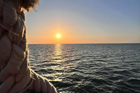 Djerba: Flamingo Island Boat Tour with Local Guide