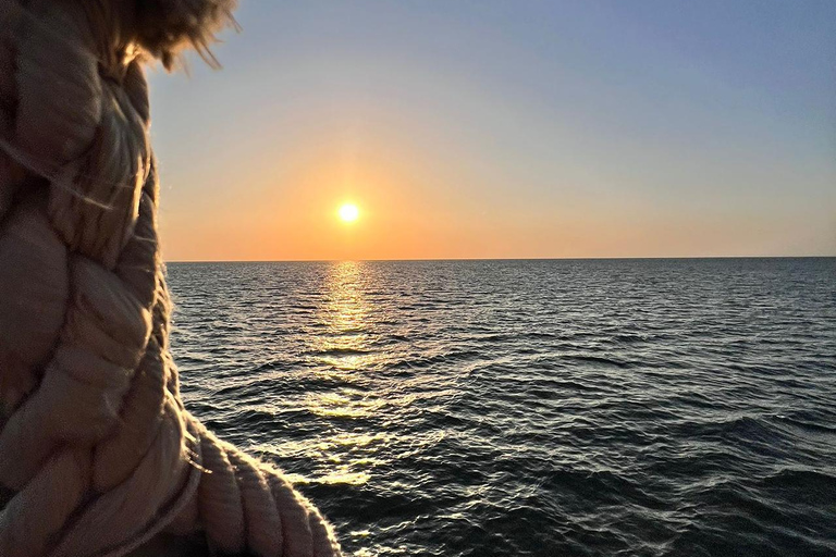 Djerba: Flamingo Island Boat Tour with Local Guide