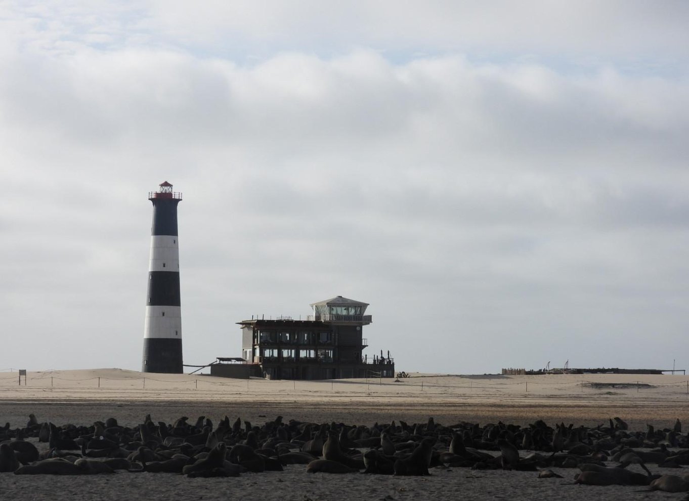 Walvis Bay: Kajak og Sandwich Harbour heldagstur