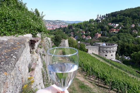 Wuerzburg: Weinbergrallye mit Weinverkostung und Gruppendynamik