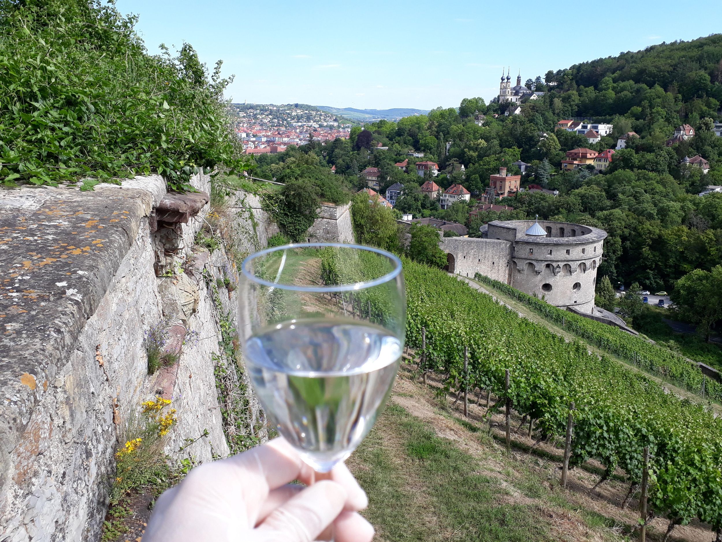 Wuerzburg: Weinbergrallye mit Weinverkostung und Gruppendynamik