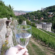 Würzburg: Vineyard Rally with Wine Tasting and Group Dynamics