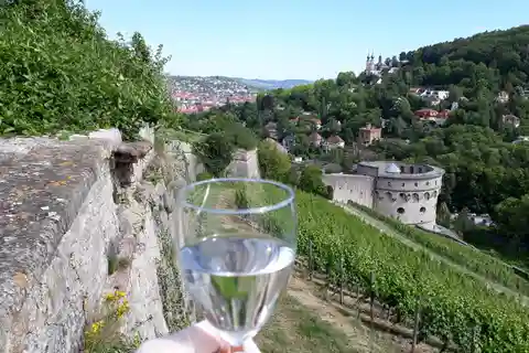 Wuerzburg: Vineyard rally with wine tasting and group dynamics