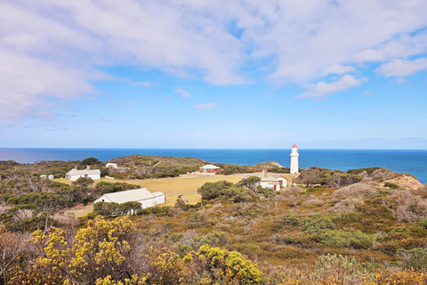 Melbourne: Mornington Peninsula Southern Coast Discovery