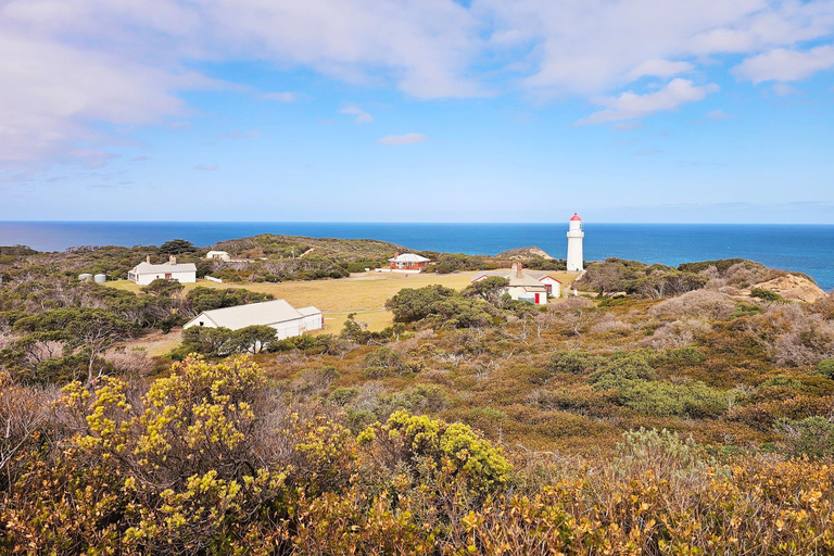 Melbourne: Mornington Peninsula Southern Coast Discovery