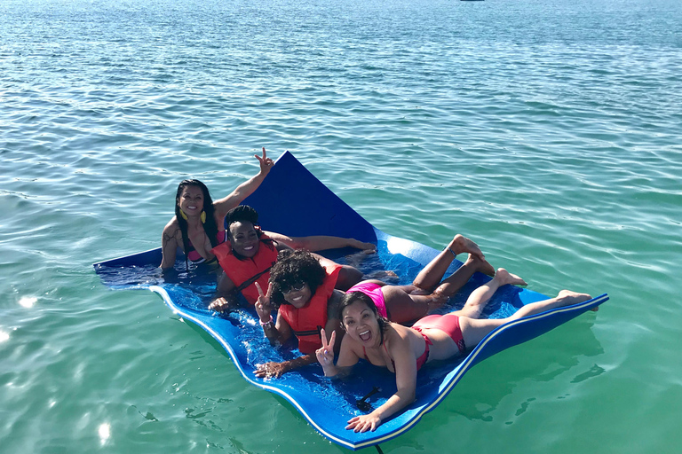 Miami: tour por la isla de los multimillonarios, el banco de arena y la isla de los mapaches.Miami: Isla de los multimillonarios, Sandbar y Raccoon Island Tour