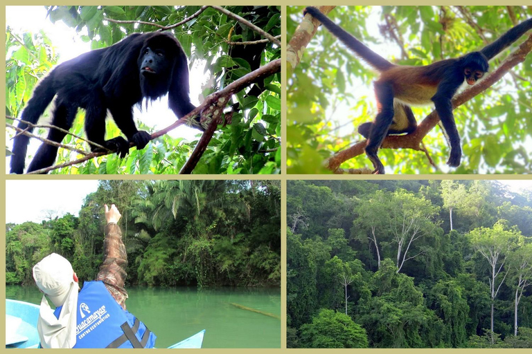 Chiapas: Tour privato della natura 4 giorni e 3 nottiTour privato della natura in 4 giorni