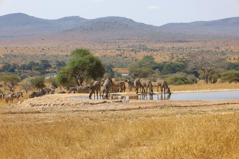 2-tägige Wildtier-Safari zum Tsavo Ost & Tsavo West Park