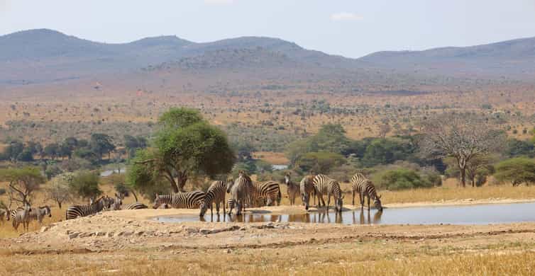 3 dni Park Narodowy Tsavo West - atrakcje przyrodnicze | GetYourGuide