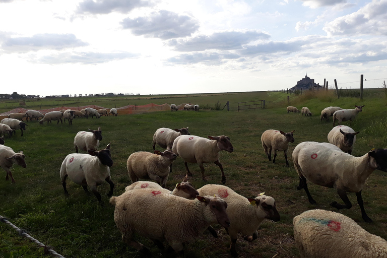 Mont-Saint-Michel: tour guidato dell&#039;abbazia e del villaggio