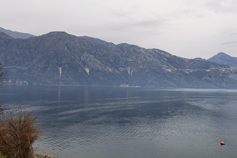 From Dubrovnik: Montenegro Full-Day Tour