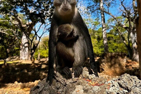 Mombasa: Gede Ruins and Arabuko Sokoke Forest Tour