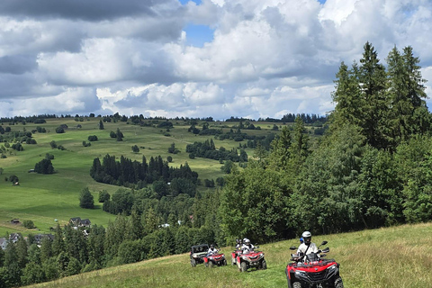 Zakopane: Snowmobile, Quad, or Buggy Tatra Mountains Tour