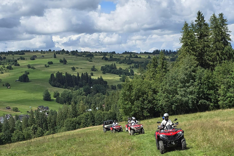 Zakopane: Snowmobile, Quad, or Buggy Tatra Mountains Tour