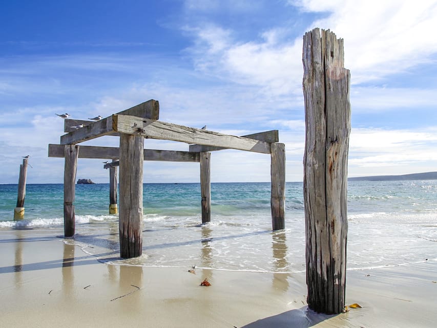 From Perth 3Day Margaret River Escape GetYourGuide