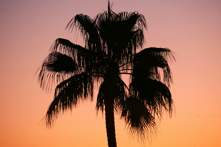 圣马丁岛：日落骑马和篝火之旅