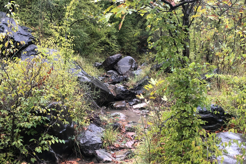 Visite d&#039;une demi-journée du téléphérique de Dajti et de la cascade de Shengjergj