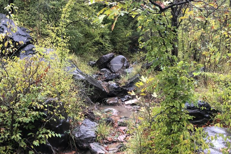 Visite d&#039;une demi-journée du téléphérique de Dajti et de la cascade de Shengjergj