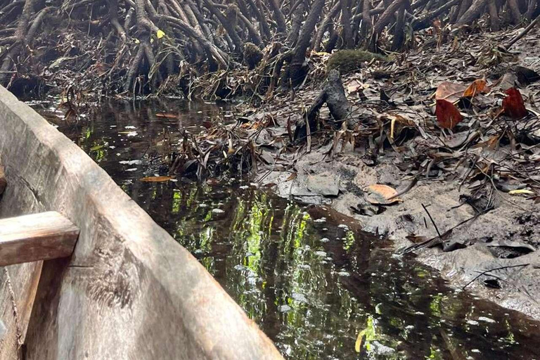 Zanzibar: Las Jozani, Jaskinia Salaam i restauracja RockLas Jozani, jaskinia Salaam i restauracja The Rock. Bez transportu.