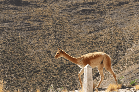 3-Tage Salta, Purmamarca &amp; Salinas Grandes mit Opt-FlugpreisRegulär mit Flugticket