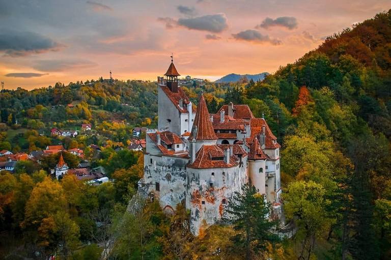 Brașov: Peles, Bran, Rasnov, & Valea Cetatii Day Trip